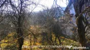 CALIMANESTI, TEREN 1231 MP