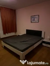 Vila Vatra Noua 5 Camere 
