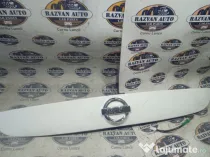 Ornament haion Nissan Juke 2011