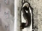 Conducta racitor gaze Volkswagen Golf 5 2006