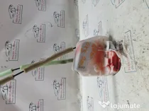 Broasca dreapta spate Mazda CX-5 - Motorina 2018