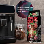 Cafea boabe, Esplendida 100% Arabica, Beans Republic, 1 kg 