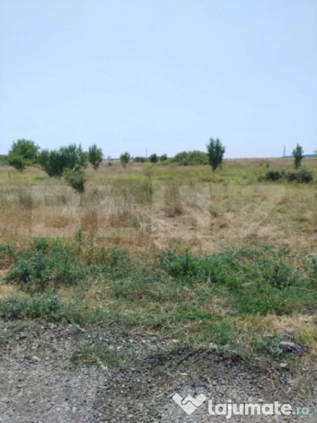 Parcele intravilan, 500 mp, str Constantei, langa Eurocartie