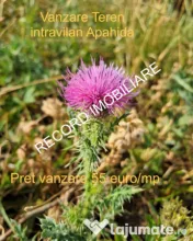 Teren intravilan 1095 mp, zona Molitura Apahida 
