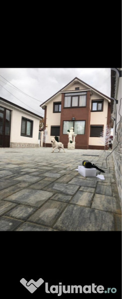 Casă în Valu lui Traian