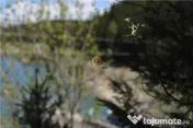 Terenuri speciale Padina Busteni, sunt dispuse ca o veritabi 