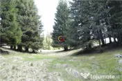 Terenuri speciale Padina Busteni, sunt dispuse ca o veritabi 