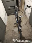 Bicicleta pegas retro