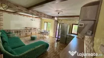 Apartament 5 camere, 135 mp, terasa 250 mp, zona Visani