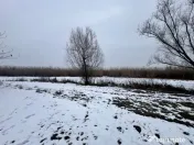 Teren 887mp cu casa pe malul Lacului Snagov | Santu Floresti 