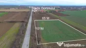 Teren 6600MP Cu Front Stradal 101 M La Intrare in Lazuri ...