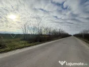 Teren 6600MP Cu Front Stradal 101 M La Intrare in Lazuri ...