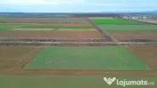 Teren 6600MP Cu Front Stradal 101 M La Intrare in Lazuri ...