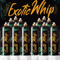 PROMO! Tub azot N2O 670g pentru PARTY, nu necesită Capsule 