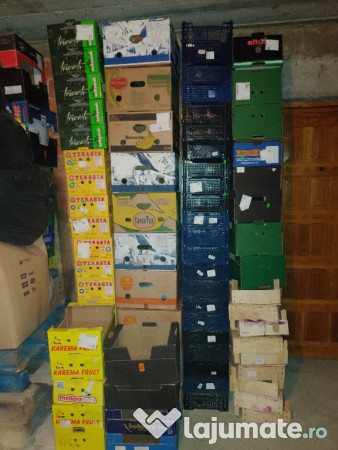 Lădițe pentru depozitare fructe