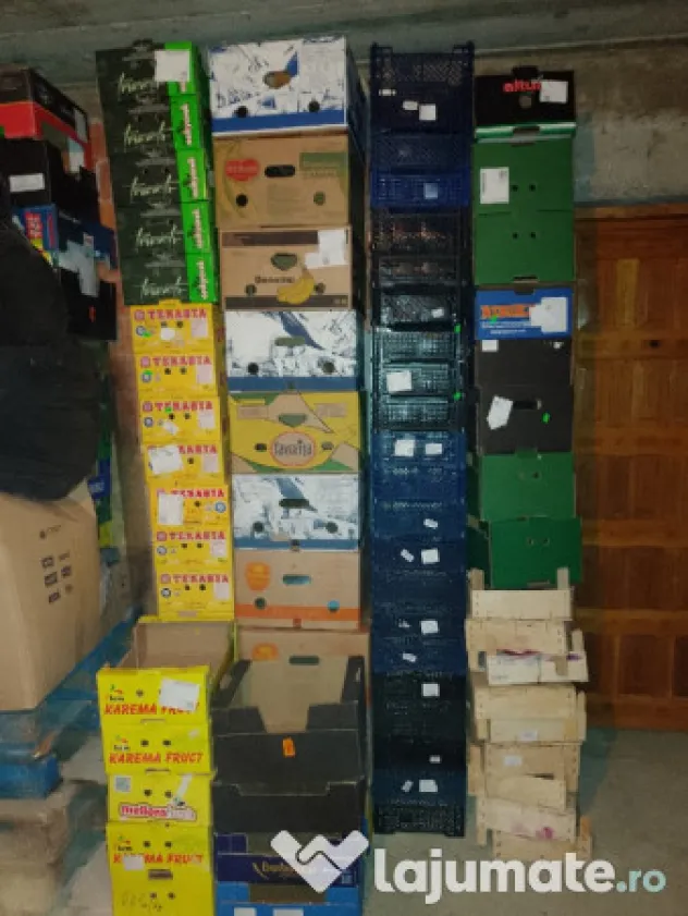 Lădițe pentru depozitare fructe