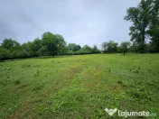 Evadare intr-un Paradis Privat: Proprietate Unică în Valenii de Munte 