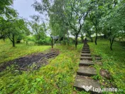 Evadare intr-un Paradis Privat: Proprietate Unică în Valenii de Munte 