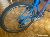 Bicicleta CTM Terrano Mountain Bike Collection 