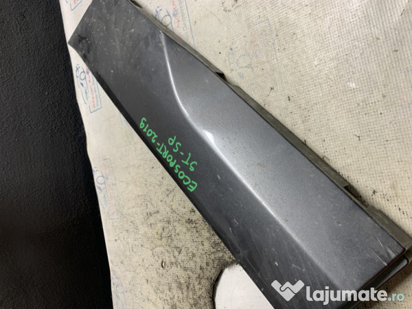 Bandou usa stanga spate Ford Ecosport - Motorina 2015