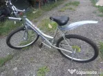Bicicleta Mountain bike First Bike