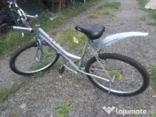 Bicicleta Mountain bike First Bike 