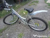 Bicicleta Mountain bike First Bike
