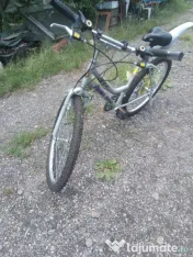 Bicicleta Mountain bike First Bike 