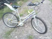 Bicicleta Mountain bike First Bike 