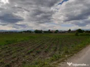 Teren intravilan construibil utilitati Lunca Calnicului. 5000mp 