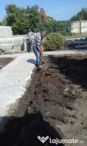 Amenajari gradini, scarificat,plantat copaci 