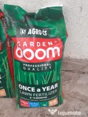 Amenajari gradini, scarificat,plantat copaci 