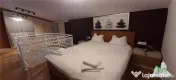2 camere cu Terasa de 100 mp , Duplex Exclusivist - Lux la 