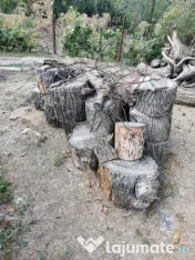 Lemne de foc esenta tare 