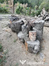 Lemne de foc esenta tare