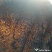 Haină de blană, artificială 