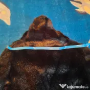 Haină de blană, artificială 