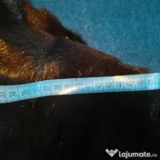 Haină de blană, artificială 