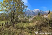 Teren intravilan în Bușteni, cu vedere spectaculoasă spre 