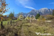 Teren intravilan în Bușteni, cu vedere spectaculoasă spre 