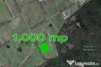Teren Baneasa 1058 Mp Piscul Reghiului New