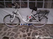 Biciclete Electrice Aluminiu 