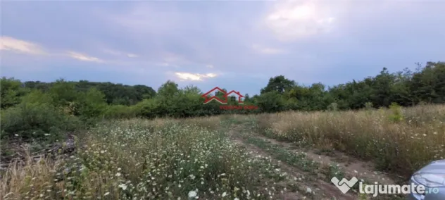 Teren intravilan cartier Gusterita, Sibiu