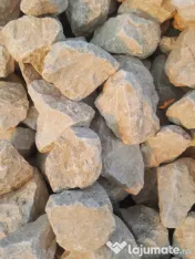 Pamant negru de padure vegetal pentru gradina, pamant gazon, flori. 