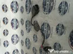 Modul pompa combustibil Skoda Fabia 2 1.2