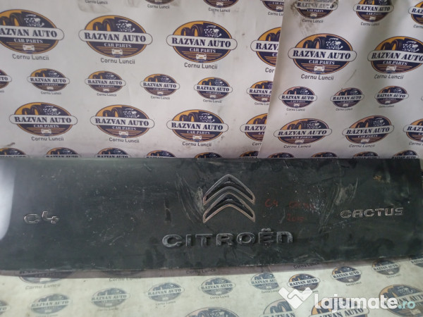 Ornament haion Citroen Cactus 2015