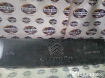 Ornament haion Citroen Cactus 2015