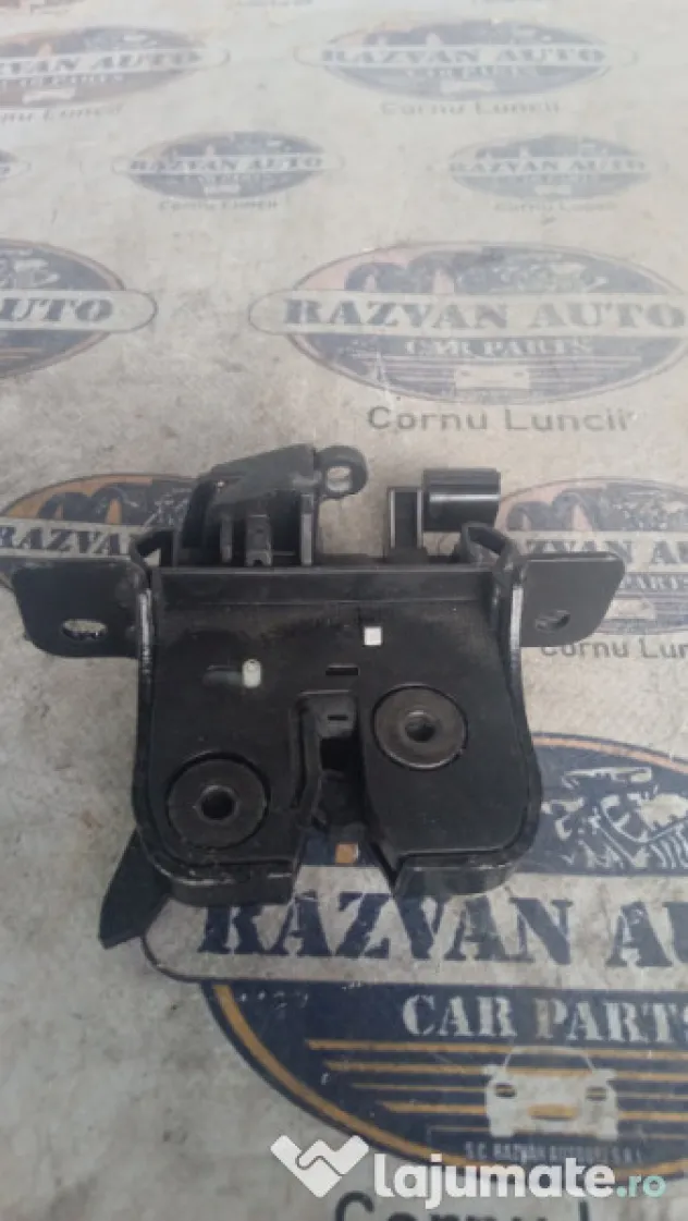 Broasca hayon Dacia Sandero