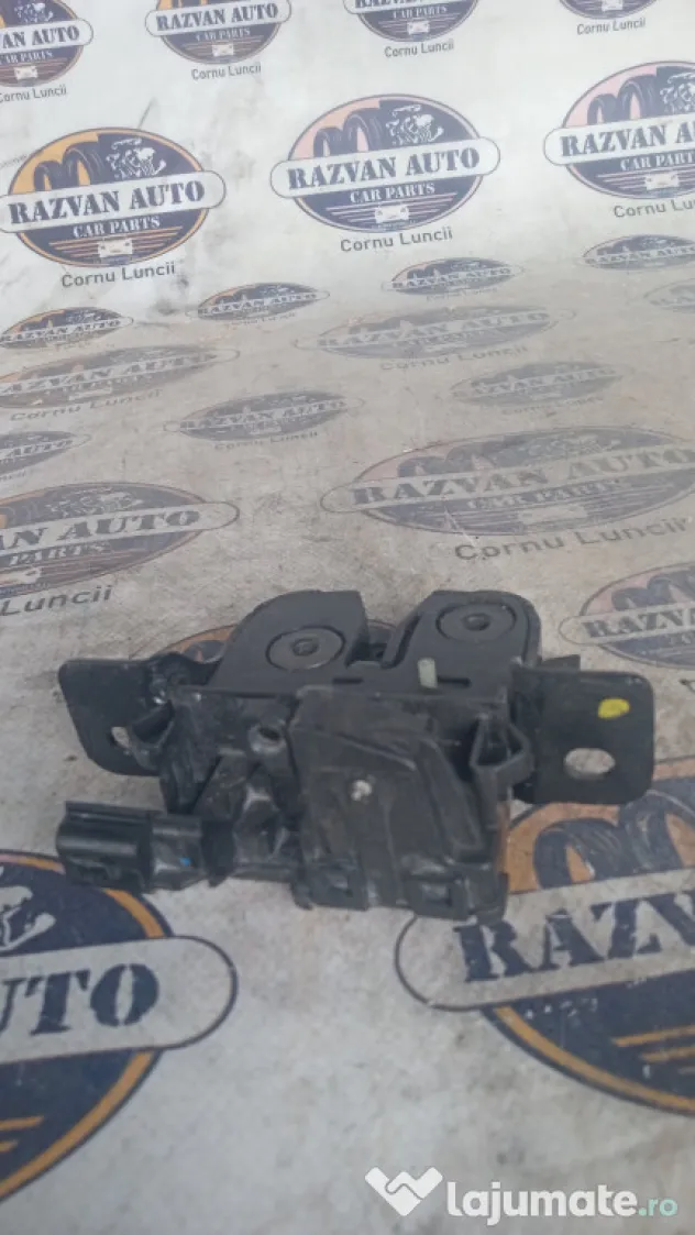 Broasca hayon Dacia Sandero