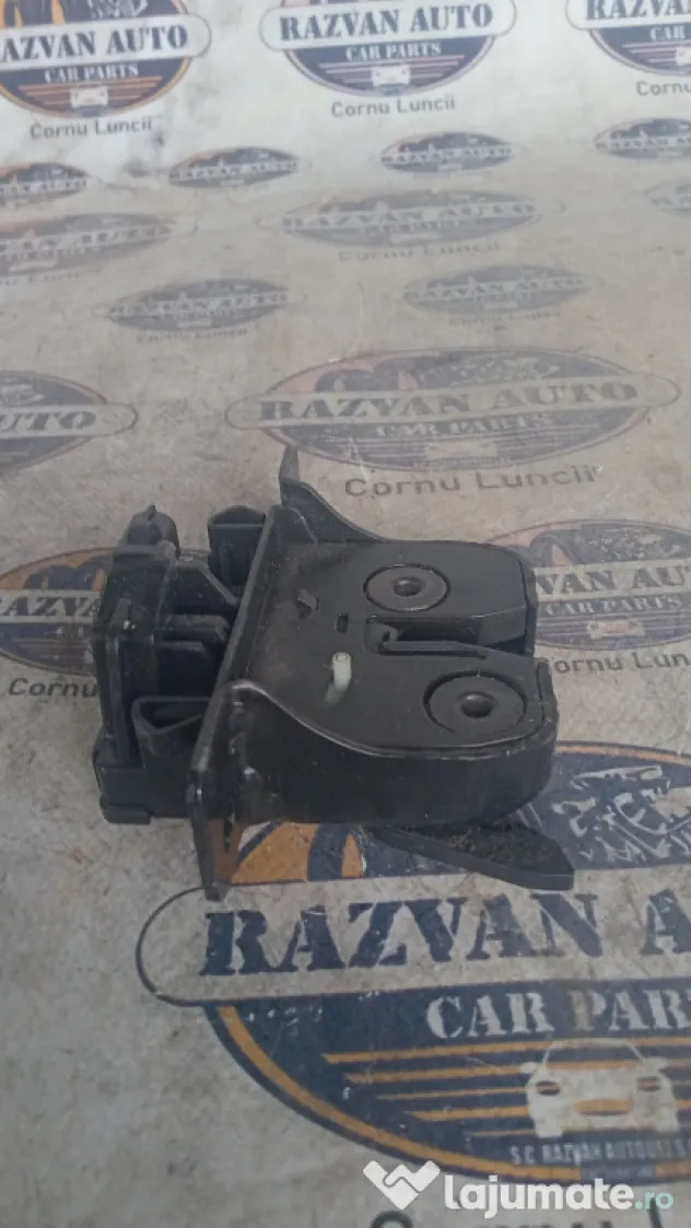 Broasca hayon Dacia Sandero
